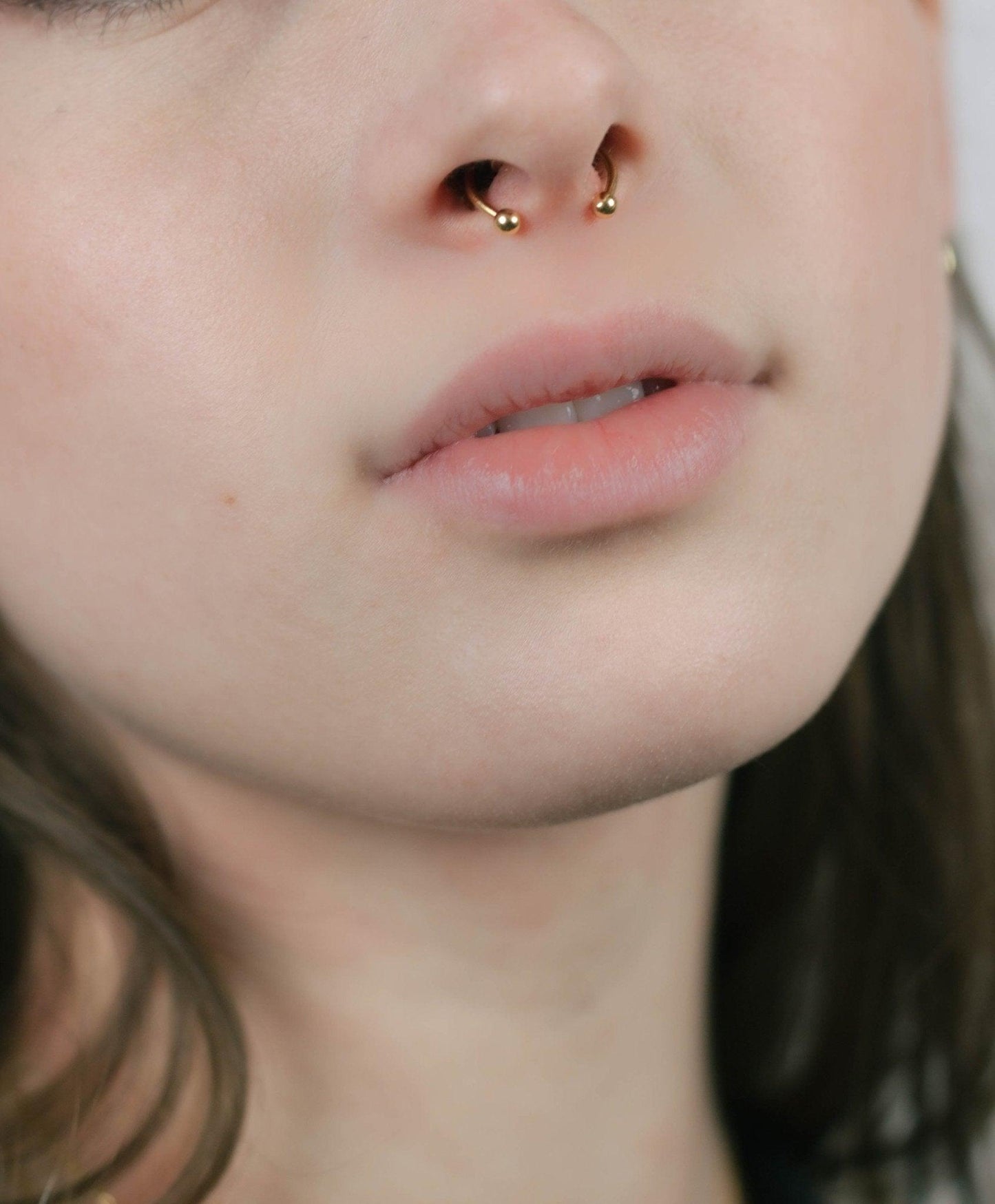 Magnetic Septum Ring