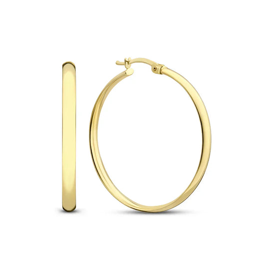 Noa earrings | 18k gold