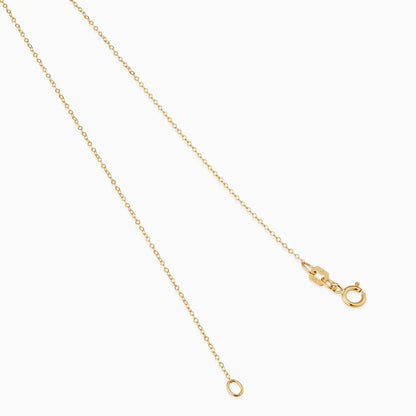 18k gold zodiac necklace