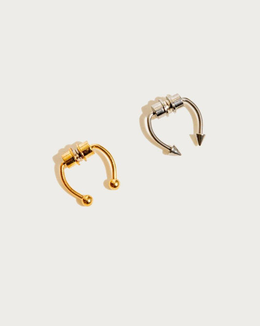 Magnetic Septum Ring