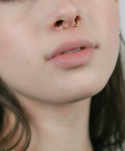 Magnetic Septum Ring